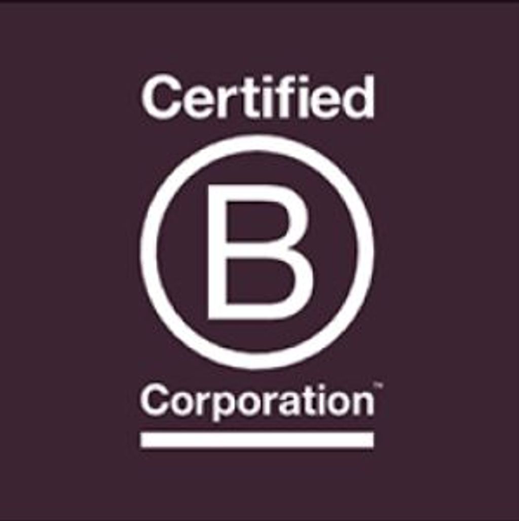 B Corp Original Logo